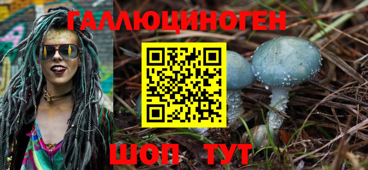 Псилоцибиновые грибы GOLDEN TEACHER Благовещенск